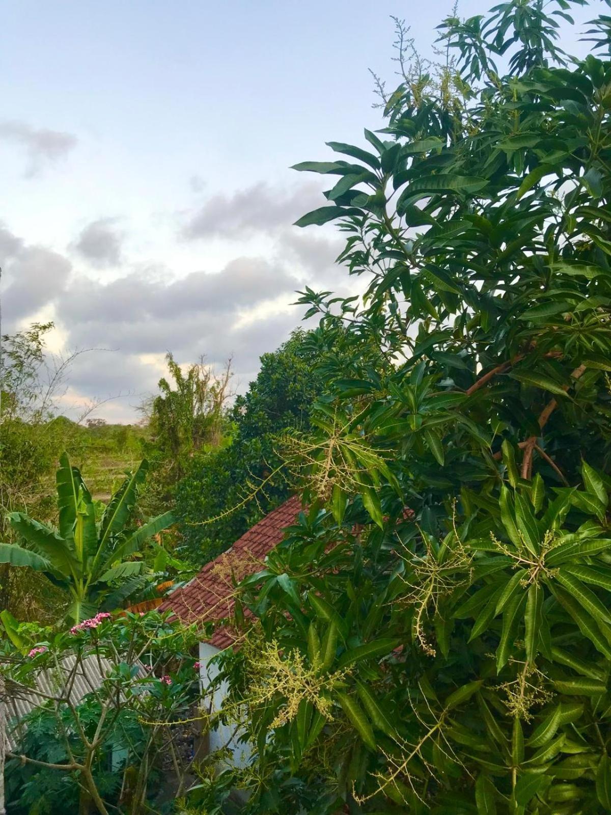 Bulan Homestay Plambi المظهر الخارجي الصورة