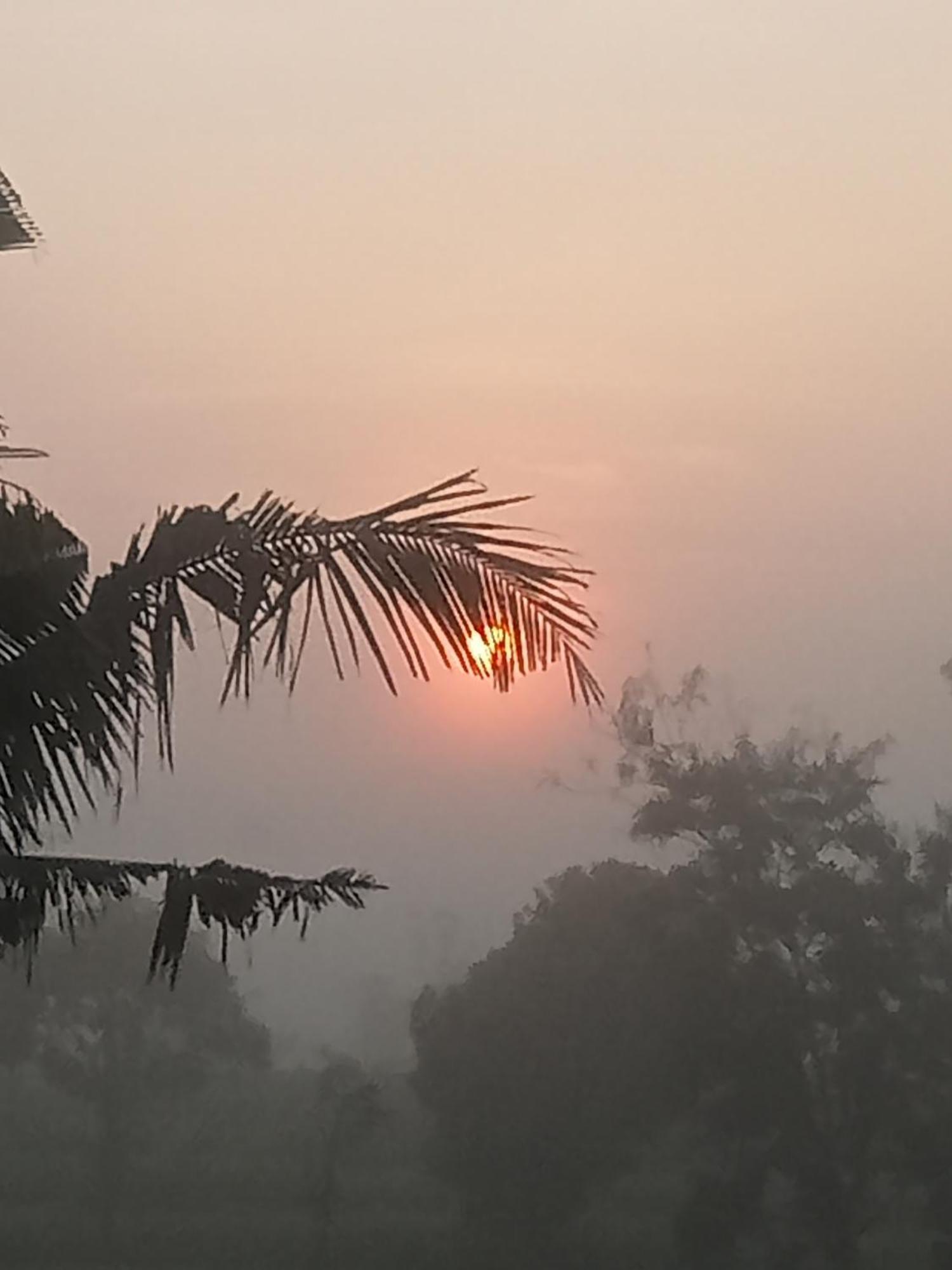 Bulan Homestay Plambi الغرفة الصورة